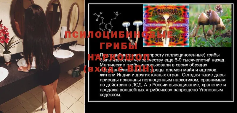 Галлюциногенные грибы Cubensis  blacksprut зеркало  Ангарск 